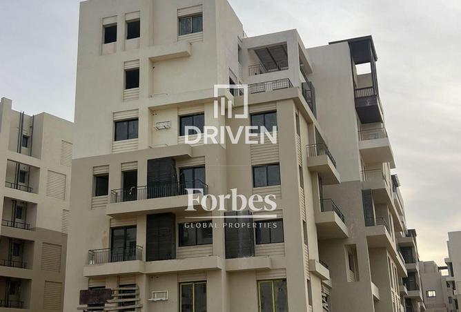 99103380 - Property Image 3