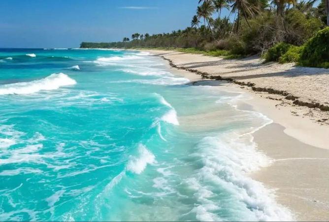 70361574 - Property Image 2