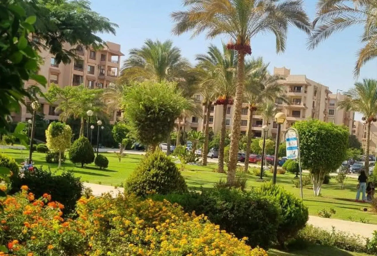 115174544 - Property Main Image