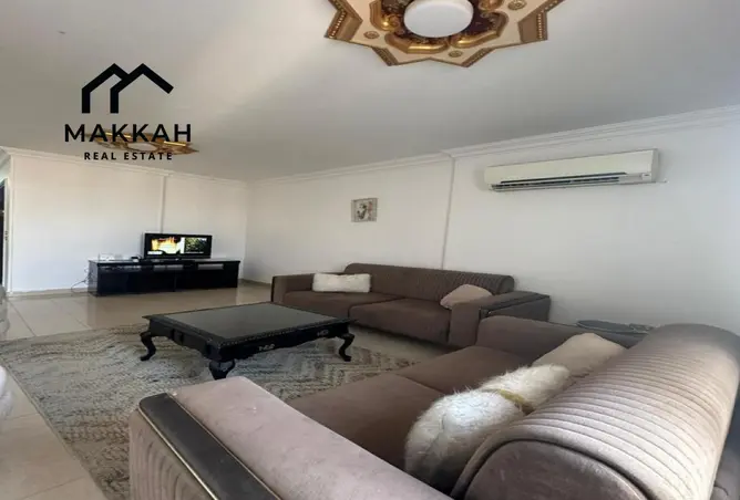 116499257 - Property Image 3