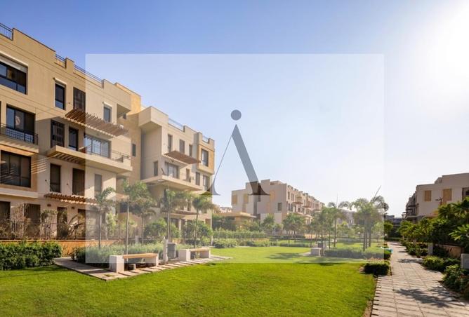 8453568 - Property Image 3