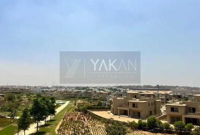 8503795 - Property Image 3