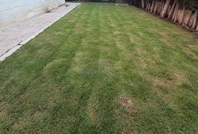 85328060 - صورة العقار 2