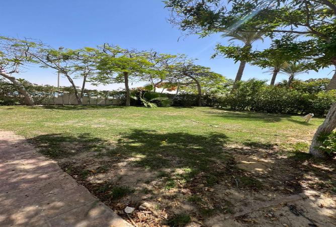 8709703 - صورة العقار 3