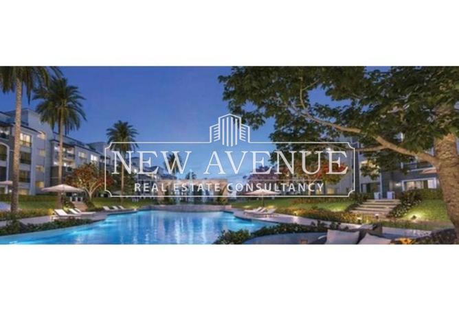 8599619 - Property Image 3