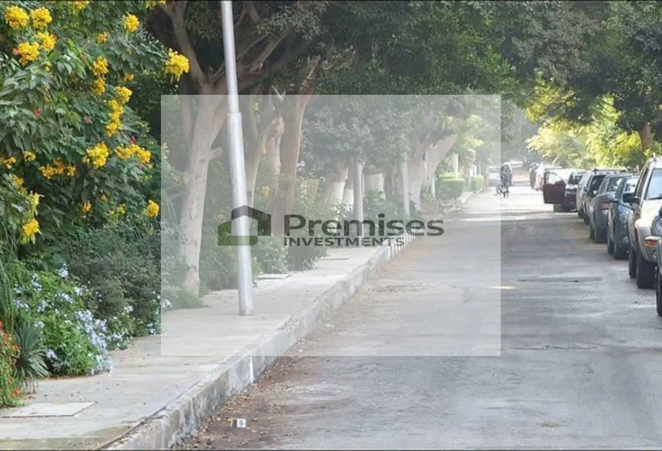 113817775 - الصورة الرئيسية للعقار