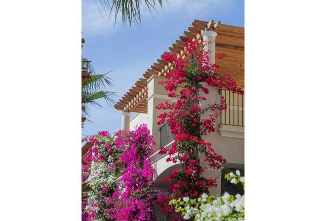 57749090 - Property Image 3