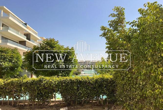 62407619 - Property Image 3