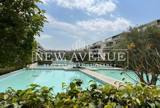 62407619 - Property Main Image