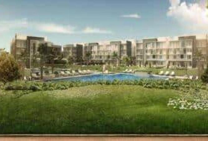 55510436 - Property Image 2