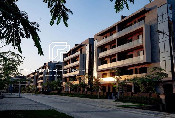 54752080 - Property Image 3