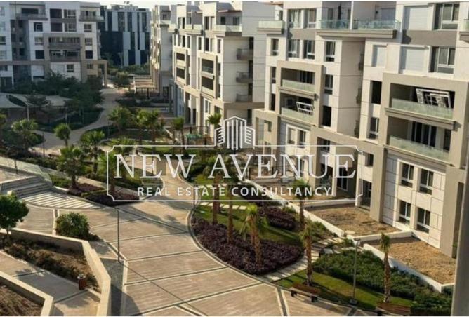 58498330 - Property Image 3