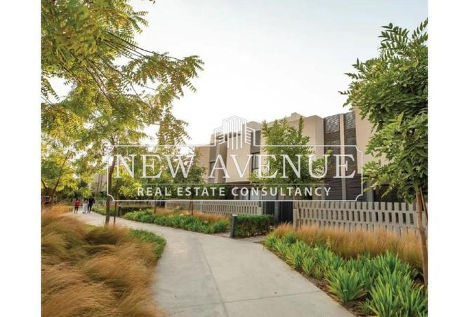 66423026 - صورة العقار 3