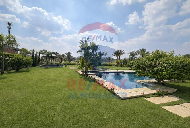 8597538 - Property Image 3