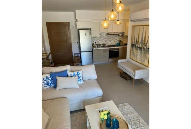 68270605 - صورة العقار 2