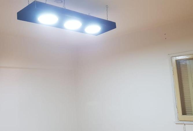 8648172 - Property Image 3