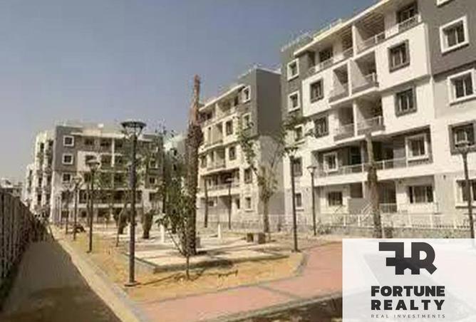 8522827 - Property Image 3