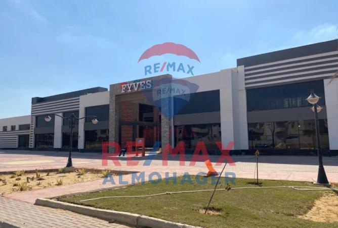 67995968 - Property Image 3