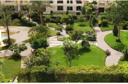 Townhouse - 7 Bedrooms - 6 Bathrooms for rent in El Patio Oro - 5th Settlement Compounds - The 5th Settlement - New Cairo City - Cairo Townhouse - 7 Bedrooms - 6 Bathrooms for rent in El Patio Oro - 5th Settlement Compounds - The 5th Settlement - New Cairo City - Cairo
