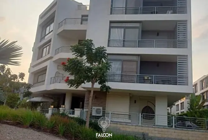 111306467 - Property Image 3