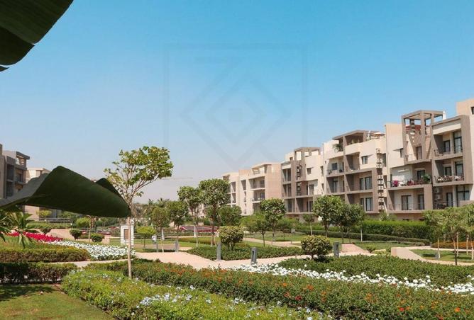 8410809 - صورة العقار 2