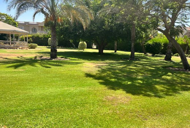 95203772 - صورة العقار 3