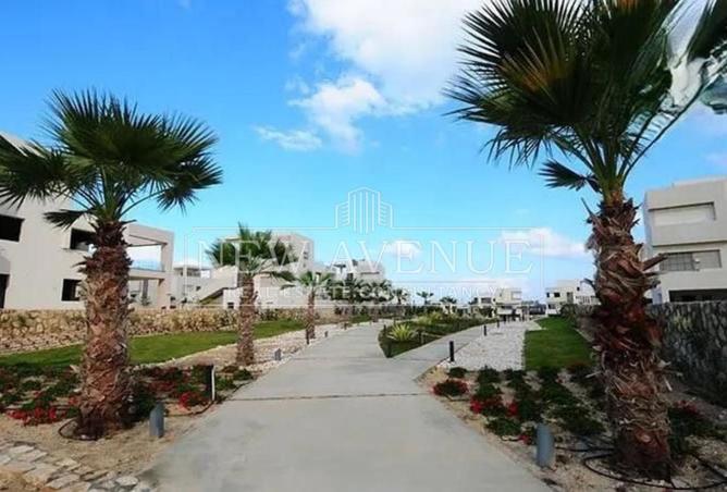 85866515 - Property Image 2