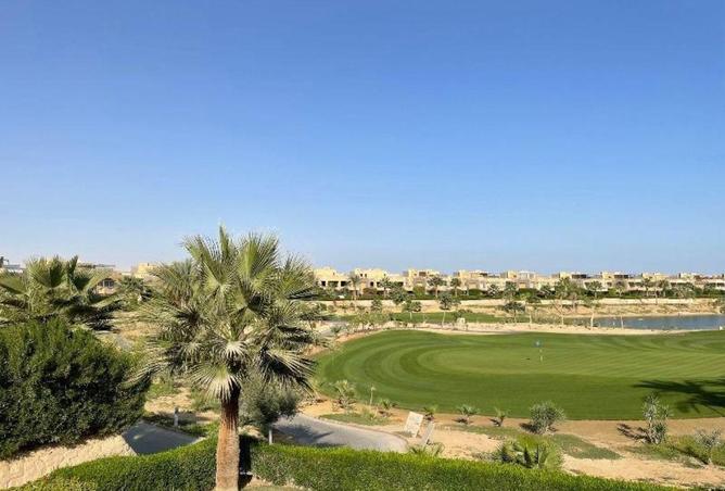 53478511 - Property Image 3