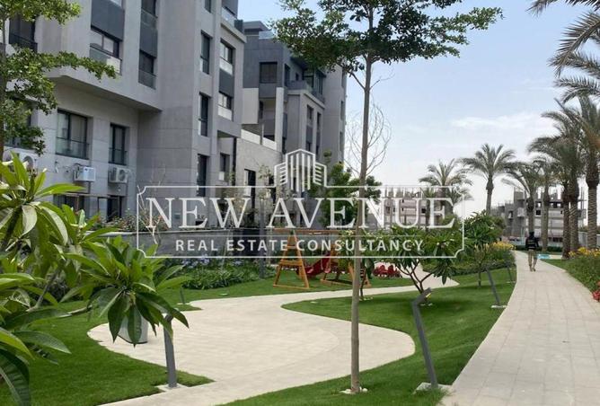 59489904 - Property Image 2