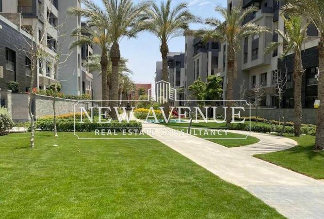 59489904 - Property Image 3