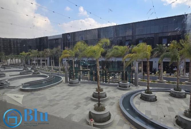 61209554 - Property Image 3