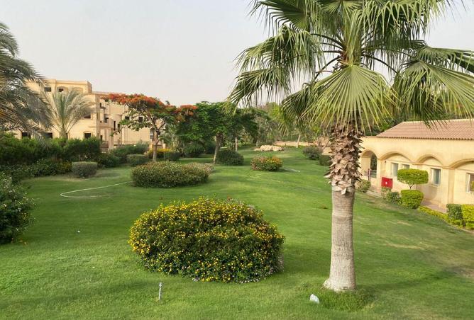 8581113 - صورة العقار 3