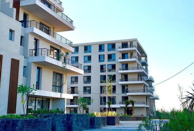 58257302 - Property Image 3