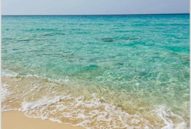 8551461 - Property Image 2