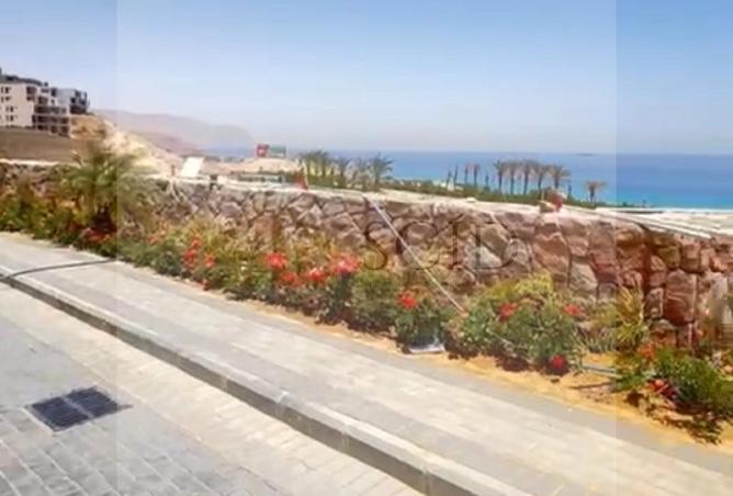 67997363 - صورة العقار 3