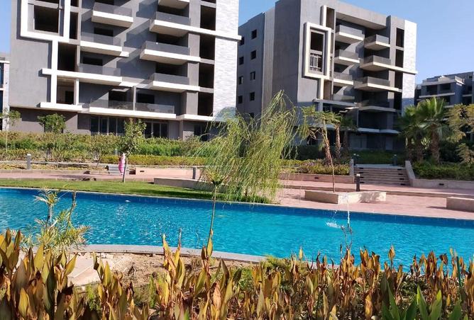 66684126 - Property Image 2