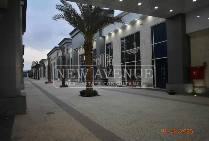 113545143 - Property Image 3