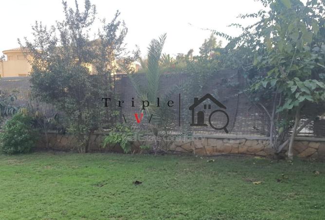 53725715 - Property Image 3