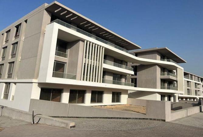 55508841 - صورة العقار 3