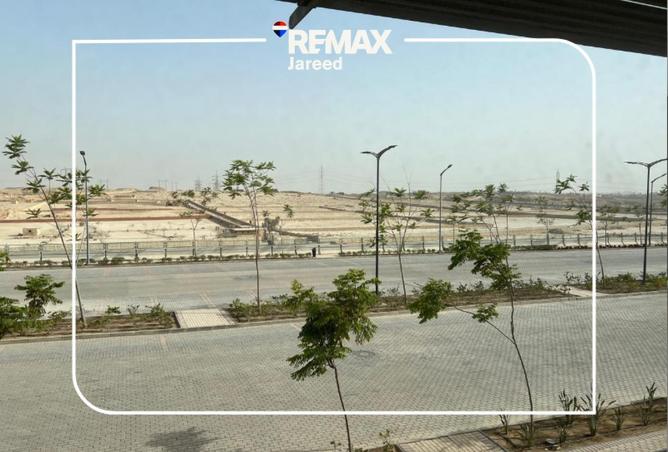 105168168 - صورة العقار 3