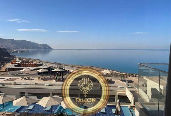 54241274 - صورة العقار 3