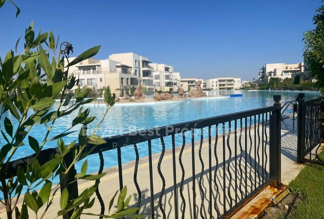 53728929 - صورة العقار 3