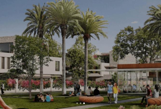 56256392 - Property Image 3