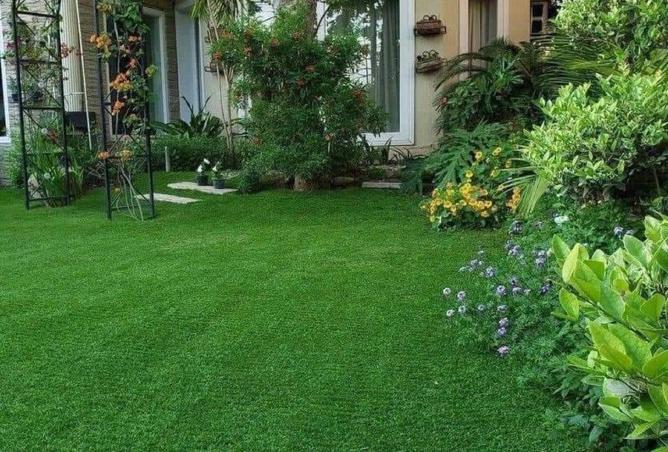 8534881 - صورة العقار 2