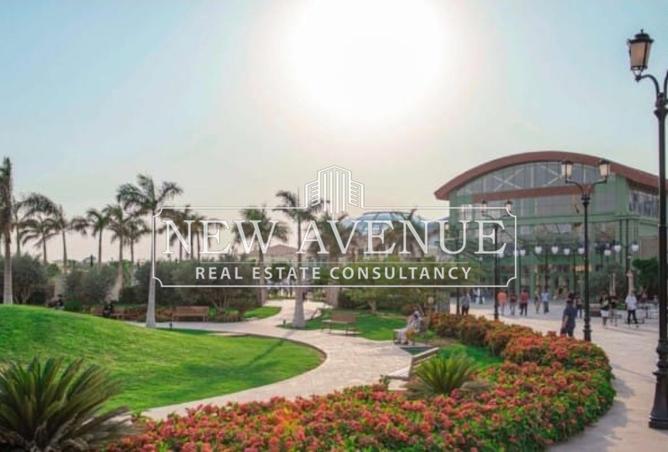 57491620 - صورة العقار 3