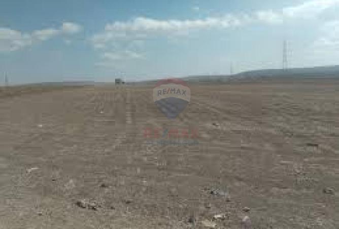 8718805 - Property Image 3