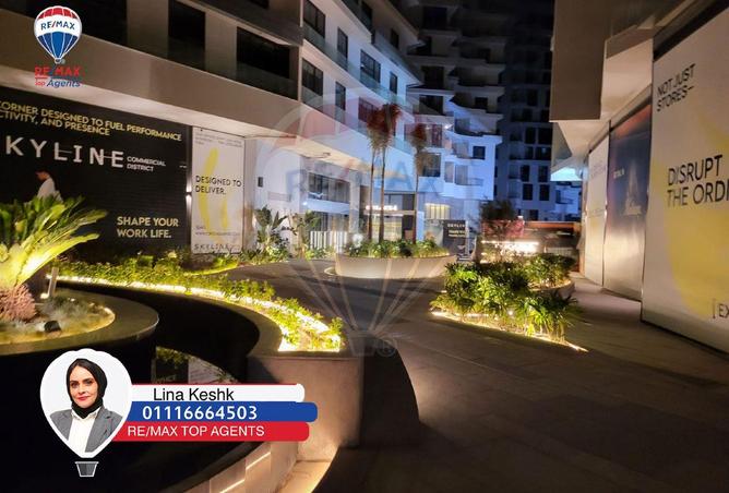 8572170 - Property Image 3