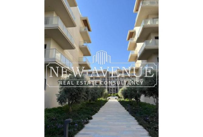 54233588 - صورة العقار 3