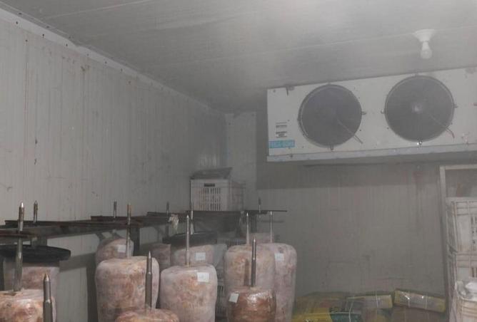 68275705 - صورة العقار 3