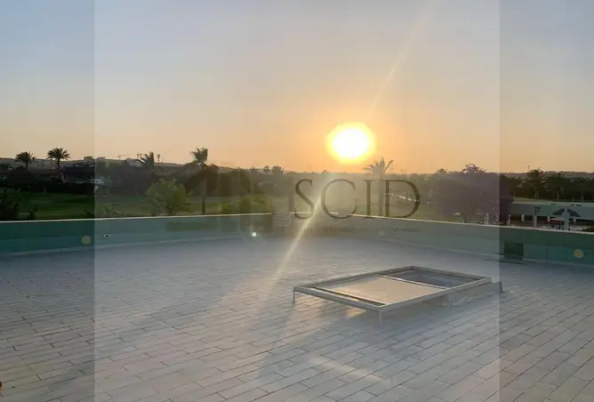117277190 - Property Image 2